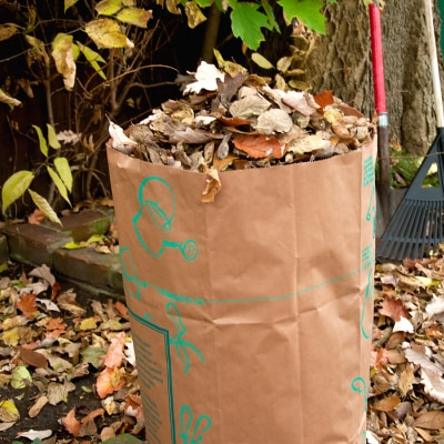 YARD DEBRIS REMOVAL